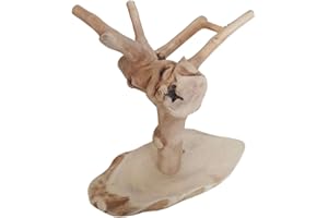 Generic Java Wood Tiny Tree Bird Stand Small Parrot Parakeet Cockatiel Play Stand