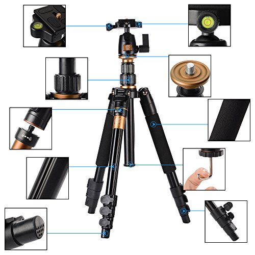 XCSOURCE Q555 Tr pied Monopode T te Sph rique Photographie et Rotule Professional Portable Aluminium en Alliage Magn sium pour DSLR cam ra DV Canon Nikon Pentax Sony Tr pied Hauteur Max 55 9 la charge max 8KG LF393 XCSOURCE Q555 Tr pied Monopode T te Sph rique Photographie et Rotule Professional Portable Aluminium en Alliage Magn sium pour DSLR cam ra DV Canon Nikon Pentax Sony Tr pied Hauteur Max 55 9 la charge max 8KG LF393