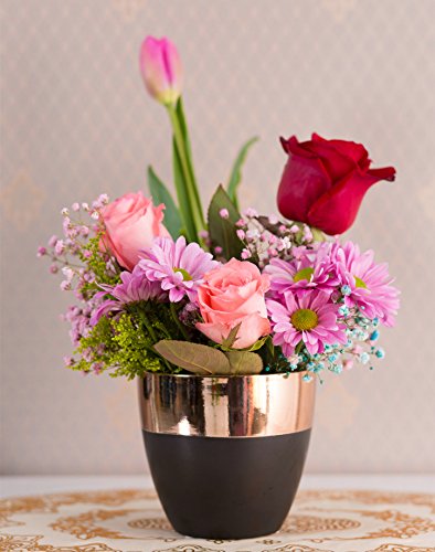Blumentopf schwarz Pflanztopf Übertopf Keramik Kupferlackierung (Dekoobjekt) (Ø14 cm * H 13,5cm (Innen: Ø12,3cm * H13cm)) - 5
