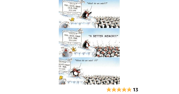 Carte De Voeux Ph4365 Humour Anniversaire Meilleure Memoire Eric Le Pingouin Amazon Fr Fournitures De Bureau