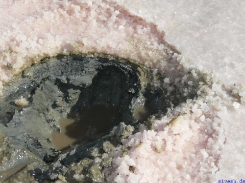 SIVASH-Heilerde Medizinprodukt zur äußerlichen Anwendung. Gebrauchsfertiger Meeresschlick in natürlicher Form. Natürliche Hilfe bei Rheuma, Arthrose, Arthritis, Gicht, Überbein (Ganglion), Akne, Psorasis, Neurodermitis (15kg)