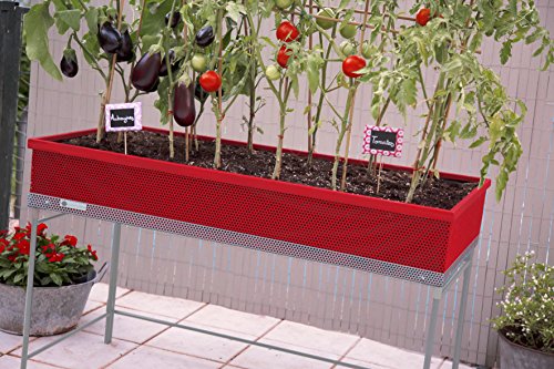 Green Passion Metallhochbeet. Hochwertiges Sortiment, Pflanzbeet, Kräuterbeet, Gemüsebeet für Balkon & Terrasse 120x56x80 cm.Rotem-Farbe - 2