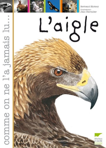 L'aigle (à partir de 8 ans)