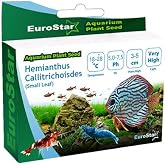 Eurostar Hemianthus Callitrichoides Akvaryum Bitkisi Tohumu