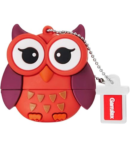 H-Customs Zatze Orsetto gatto cane marrone chiavetta USB 128 GB USB 3.0
