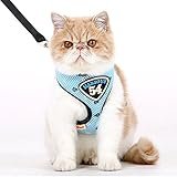 Katzengeschirr mit Leine 1,38m Soft Atmungsaktives Farben,Blau,M