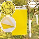 como pegar moscas com garrafa pet Hecho de material plástico de buena calidad, impermeable, protección solar, larga duración durante medio año hasta que el doble cara llene de moscas. Sin insecticidas, sin venenos, protección del medio ambiente.