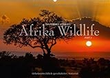 Emotionale Momente: Afrika Wildlife Part 2 (Wandkalender 2013 DIN A3 quer): Dramatische und zugleich wunderschöne Bilder von Afrikas Tierleben. (Monatskalender, 14 Seiten) by 