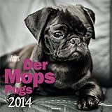 Der Mops 2014 by 