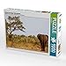 Produktbild Elefant im Kruger Nationalpark 1000 Teile Puzzle quer (CALVENDO Orte)