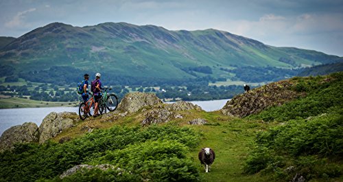 Garmin Edge Explore 1000 - Highend GPS-Fahrrad-Navi fÃ¼r Touren- & Mountainbiker mit 3-Zoll (7,6 cm) Touchscreen, vorinstallierter Fahrradkarte und dem Plus an Sicherheit