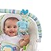 Comfort & Harmony Monkey Bouncer