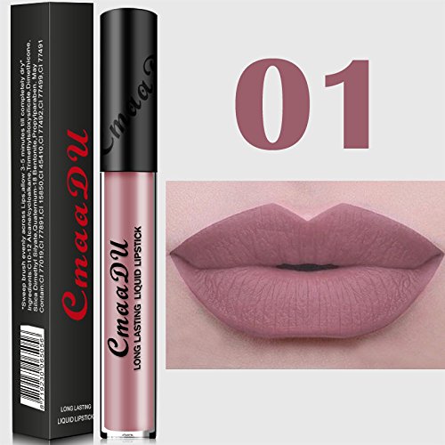 TOPBauty 2017new Ankünfte Sexy 15 Farben Wasserdicht Nackt Metallic Matte Nackt Lippe Langlebig Flüssig Lippenstift für Frauen Mädchen 01