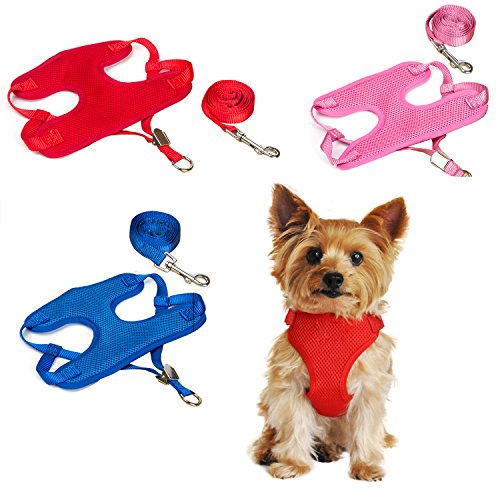 Pettorina Cane Regolabile con guinzaglio Resistente bu Hi Suyi