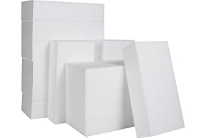 FWEEK 12 Stück Schaumstoffblöcke, 20x10x5cm styroporplatten, Weiße Rechteckig Polystyrolblöcke, Styroporblöcke Modellierschaum Block für Skulpturen, Modellieren, Basteln, Blumenarrangement