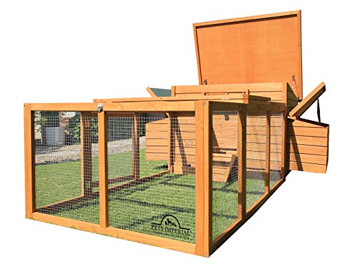 Acheter Un Poulailler 6 8 Poules Conseil Pour Faire Le Bon Choix