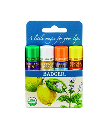 Badger Orgánica Lip Balm 4 Sticks Gift Set Paquete Azul