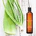 Aloe Vera Gel - Beauty by Earth Organic & Pure Aloe Vera Gel for After Sun Care - Uses Include Treatment of Burns, Rashes, Bites, Cooling, Hydration, Moisturizing or as a Light Hold Hair Gel. Best Aloe For DIY Hair & Skincare Products. Made in the USA. 251ml