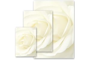 100 fogli di carta da lettera decorati ROSA BIANCA Fiori & Petali, Amore & Matrimonio DIN A4 - Paper-Media