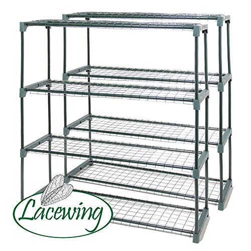 Lacewing Set of Two 4 Tier Garden Greenhouse Staging in Green 4' 1"
