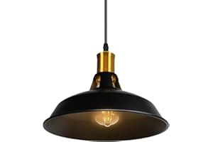 TOKIUS Suspension Lustre Industrielle Vintage Luminaire Plafonnier E27 Salon Abat-jour Plafond en Métal Rétro Style Nordique Design Câble Réglable (Noir, 1pcs)