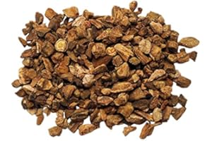 JustIngredients Essential Racine de Rhubarbe 500 g - Lot de 2