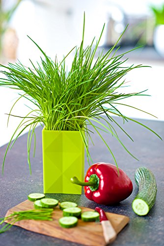 baekka-Box-Utensilienhalter-fr-die-Kche-grn