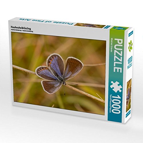 Preisvergleich Produktbild Hauhechelbläuling 1000 Teile Puzzle quer (CALVENDO Tiere)