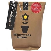 Beste Freundin Geschenkset Mit Kerze - Lichterhäuser Deko Mit Trockenblumen & Postkarte