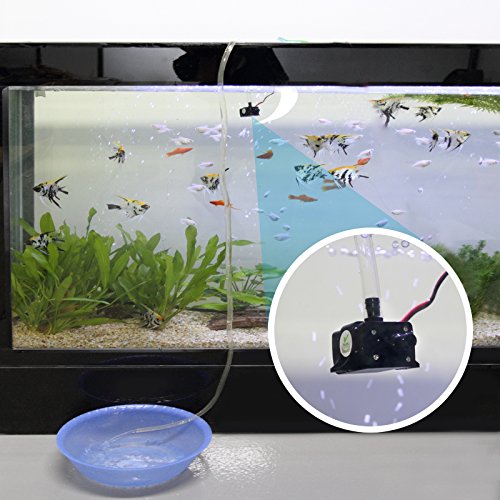 TSSS Brushless Mini Wasserpumpe 240L/H 4.8W Submersible Amphibisch Aquarium Gartenteich Fall Fisch Behälter Wasser Brunnen Unterhaltung- H-Max (Hubhöhe): 0-3m. - 3