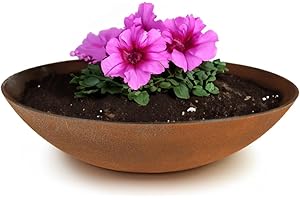 ‎MATCHES21 HOME & HOBBY matches21 wetterfeste Pflanzschale für draussen - große Dekoschale in Rost Metall-Optik als Blumenschale - Flache Garten Schale in 28 cm für Blumen, Bonsai oder Friedhof Grab-Schmuck