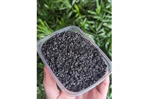 PARTY IN MY PLANTS Activated charcoal carbon for terrariums mossariums paludarium succulents house plants cactus fairy gardens aquariums (Medium)