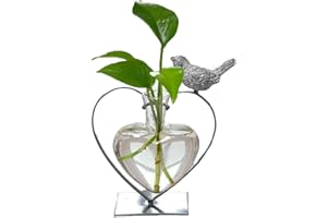 Marbrasse Florero Hidropó Nico, Escritorio con Soporte para DecoracióN del Hogar, Soporte de Terrario de Planta de PáJaro En Forma de CorazóN Creativo Moderno
