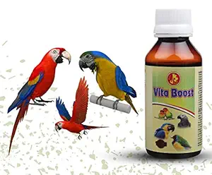 Pet Care International (PCI) Vita Boost || Essential Vitamins || Healthy Bird Healthcare || 30ml