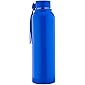 Signoraware Insulated steel bottle with outer plastic, 700ml, Blue