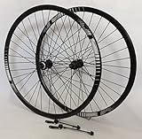 Bremsen: Disc Brake (Scheibenbremse)
