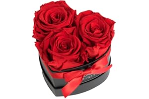‎INFINITY FLOWERBOX Infinity Flowerbox Small Herz - 3 echte Premiumrosen in Rot - 3 Jahre haltbar ohne gießen | In Geschenkverpackung mit Satinschleife
