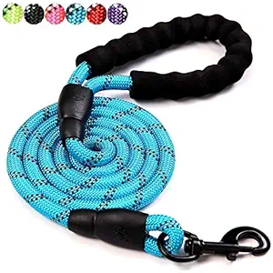 5 FT Strong Dog Leash Comfortable Padded Handle Highly Reflective Threads Medium Large Dogs (Blue)