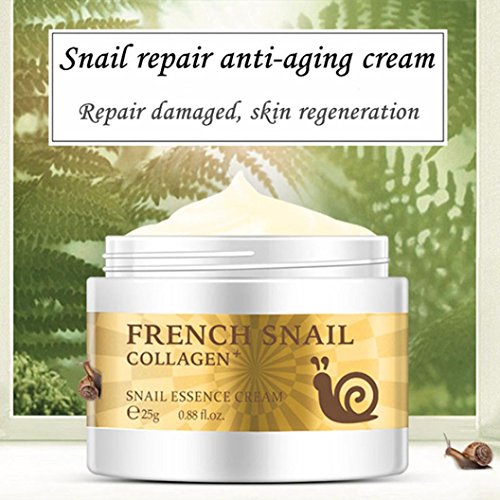 Preisvergleich Produktbild gaddrt Schnecke Repair Anti Aging Creme Collagen feuchtigkeitsspendende Repair Hyaluronsäure creme