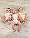 The Essential One - 3 Pack Cream Unisex Bodysuits - ESS119