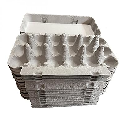 Mistercaille Boîtes pour les oeufs cailles en carton - lot de 50