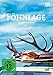 Fhnlage (Dvd) [Import anglais]