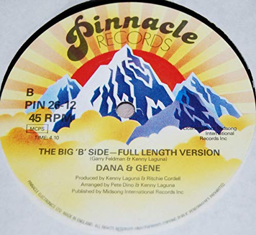 Preisvergleich Produktbild Dario, Can You Get Me Into Studio 54