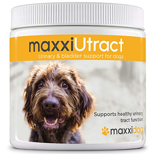maxxidog - Suplemento Urinario y Vesical para Perros maxxiUtract - Ayuda a la Salud del Sistema Urinario, al Control de la Vejiga y la Recurrencia de ITU - con Árándanos - En Polvo 150 g