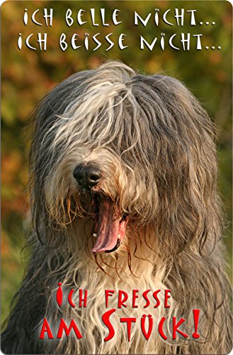 Preisvergleich Produktbild +++ BEARDED COLLIE - Metall WARNSCHILD Schild Hundeschild Sign - BDC 06 T11
