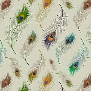 AS Interior Theme Peacock Brownee Feather Wall Paper Peel and Stick Self Adhesive Covering Living Room, Bedroom Walls, Master Room