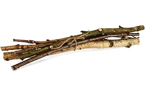 MATCHES21 HOME & HOBBY matches21 Deco Ramas de Abedul Ramas de Abedul Material Natural Set de 6 Longitud 50 cm - Ø ca 1-2,5 cm