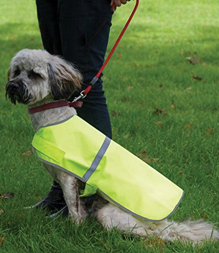 I-Love-My-Staffy-Reflective-Hi-Viz-Dog-Safety-Vest-Sizes-XS-L-FREE-POSTAGE