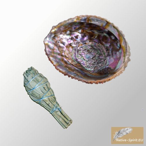 Native Spirit Set: Concha de abulón 13-15 cm (5 Pulgadas) y una Varita Atada de Salvia Blanca (Baby) 3-4 Pulgadas