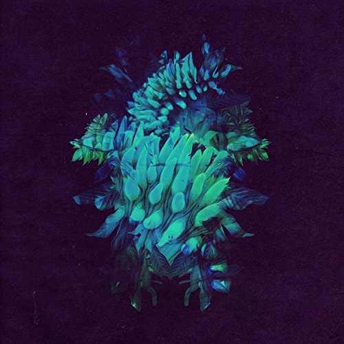 couverture de : All glows